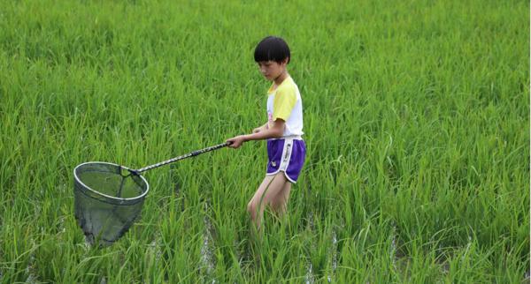 全景呈现：方正县首届稻作文化节盛大开幕！ 12