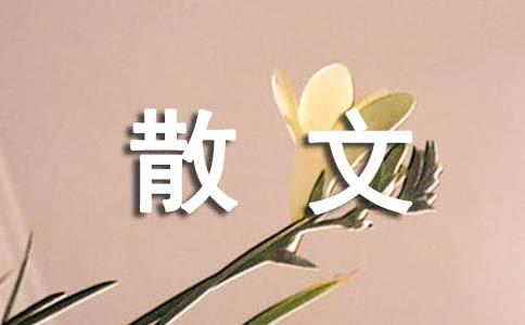 就像一阵风吹过散文