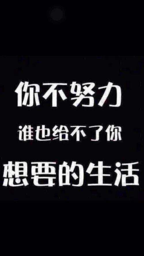 你不努力，谁也给不了你想要的生活 初中记叙文700字