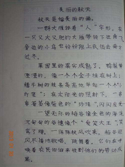 关于青春的作文：青春，且行且珍惜_900字