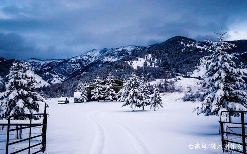 四年级作文：雪后的大自然