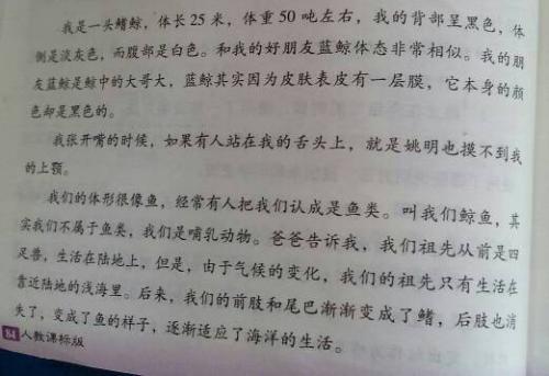 四年级状物作文：鲸的自述一_350字