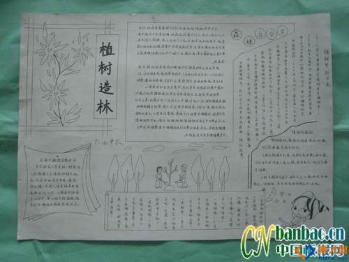 快乐的植树节 小学写事作文300字