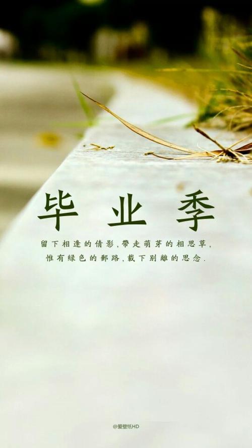 即将毕业的我们_700字