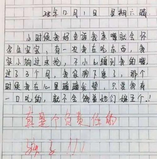 小学生优秀想象作文：我，是一颗种子