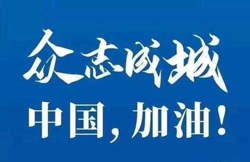 武汉，加油！ 疫情作文300字