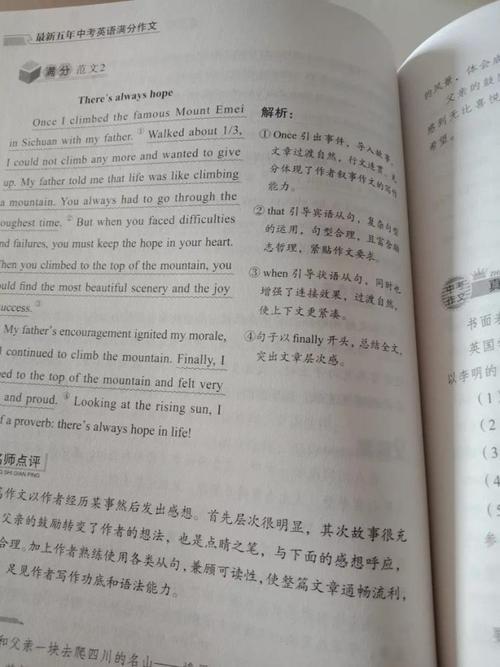 2019年重庆市中考A卷英语满分作文_600字