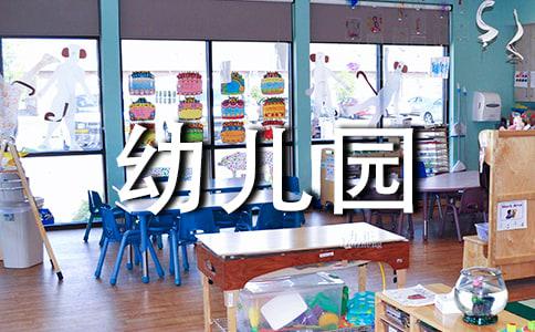 幼儿园中班教师教学工作总结