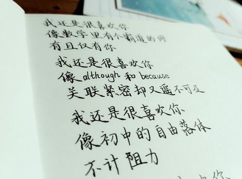 关于友情的优美文字