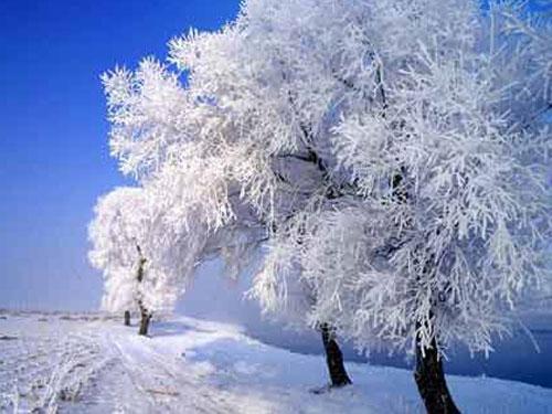 美丽的雪景_650字