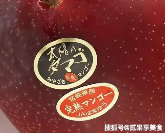 揭秘天价芒果“太阳蛋”，日本是怎么种的，看后感叹万分呀 13