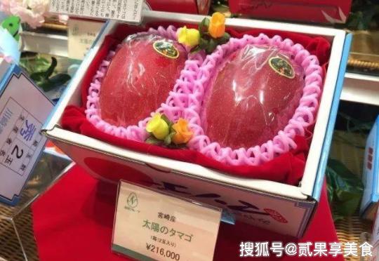 揭秘天价芒果“太阳蛋”，日本是怎么种的，看后感叹万分呀 10