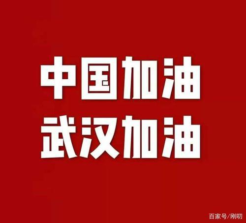 中国加油！武汉加油！ 战疫情作文900字