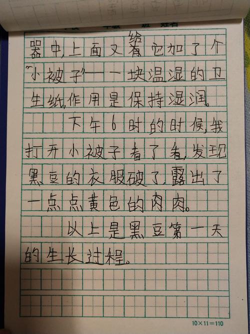 我和黑豆一般小作文