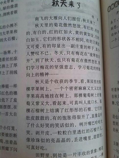 小鹿园 快乐的秋游作文300字