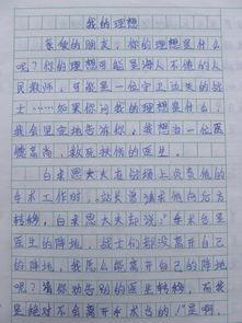 我的乐园 我的书房作文400字