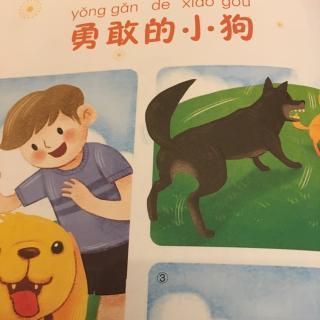 [四年级状物]聪明勇敢的小狗贝贝_650字