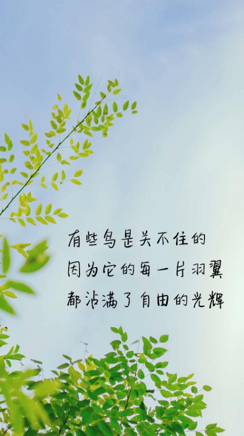 留在心底的难忘_900字