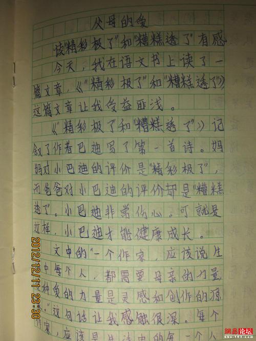 七年级母亲的爱作文800字