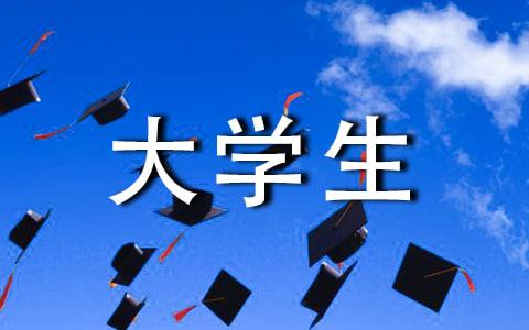 网络经济学专业大学生实习报告