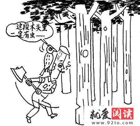 这段木头里一定有虫 观察漫画写作文500字