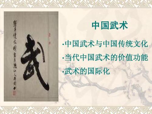 中国功夫-关于传统文化的作文450字