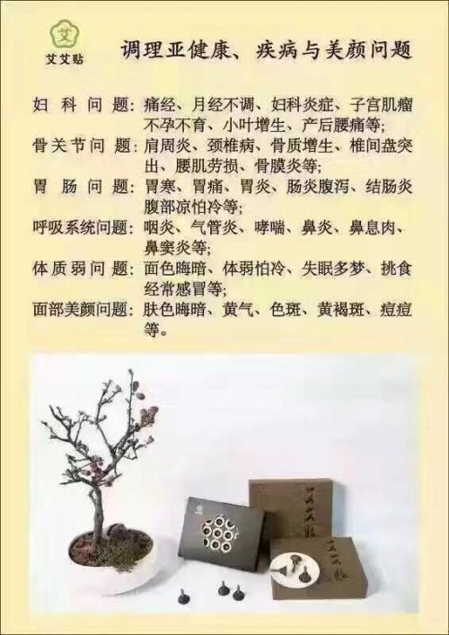 小针线，大功夫-关于传统文化的作文400字