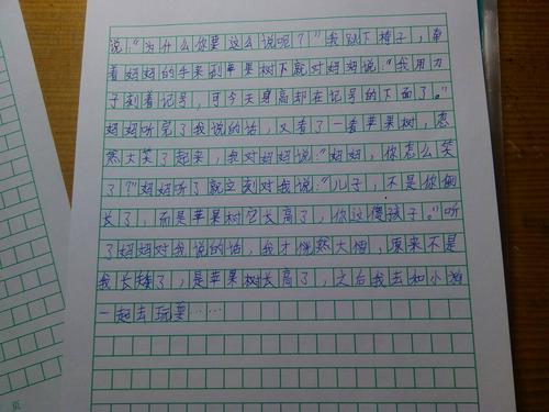 寒假学习计划作文_450字