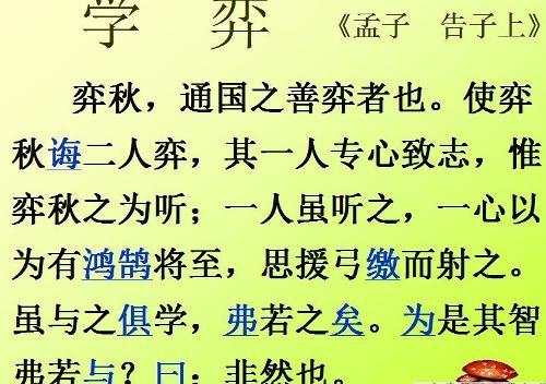 《猪八戒偷果》新编-优秀改写作文600字