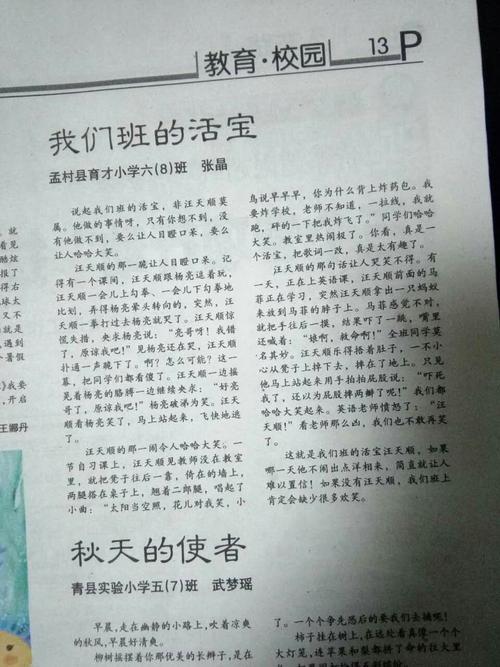 我们班上的大活宝作文