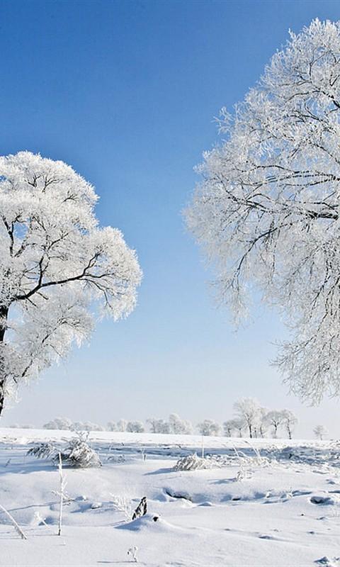 冬天的雪景_800字