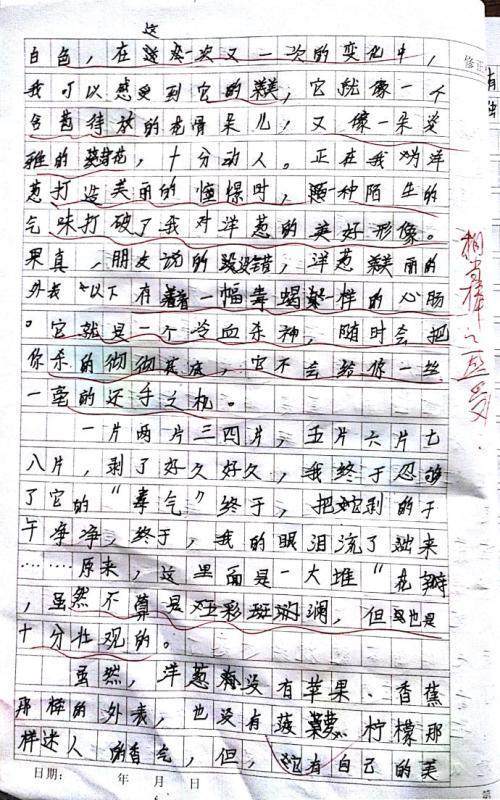 高三状物作文：奇特的蜘蛛_1000字