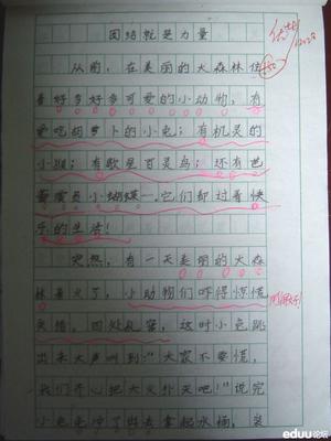 团队的力量 高一作文1000字