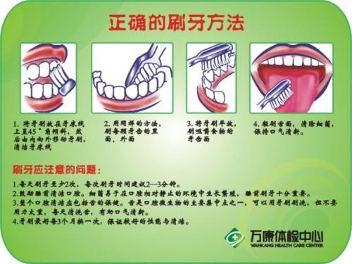 全国爱牙日作文：左手刷牙_800字