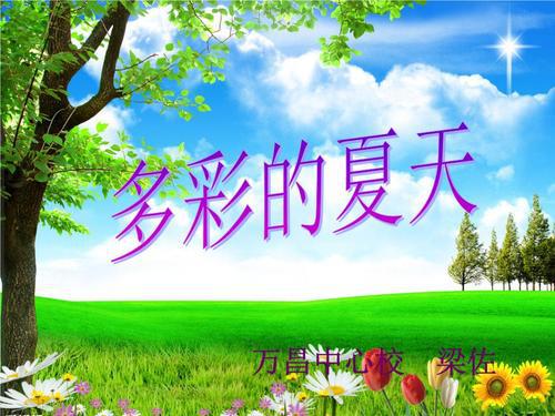 多彩的夏天（一）_700字