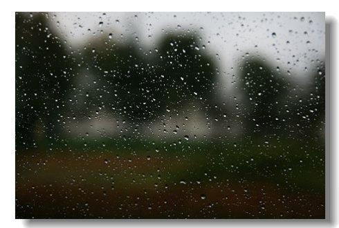 窗外是雨_900字