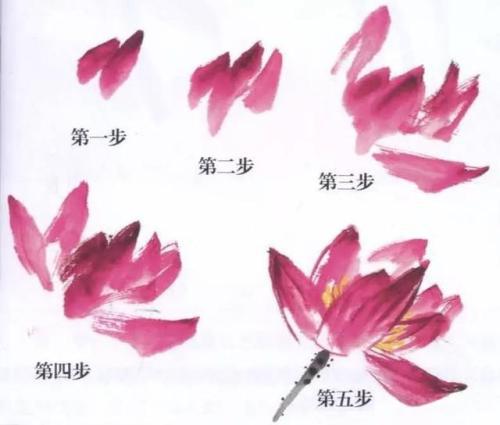 聆听荷花心_600字