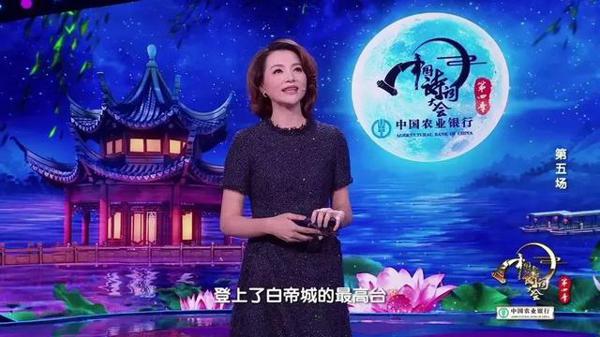 值得一读！《中国诗词大会》董卿教科书式唯美开场词，堪称作文范本｜新春精选 4