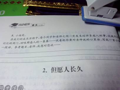 高一书信：老师我想对你说_500字