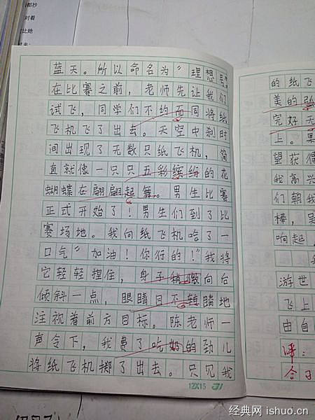 在心里埋下一颗勇气的种子-难忘的经历作文700字