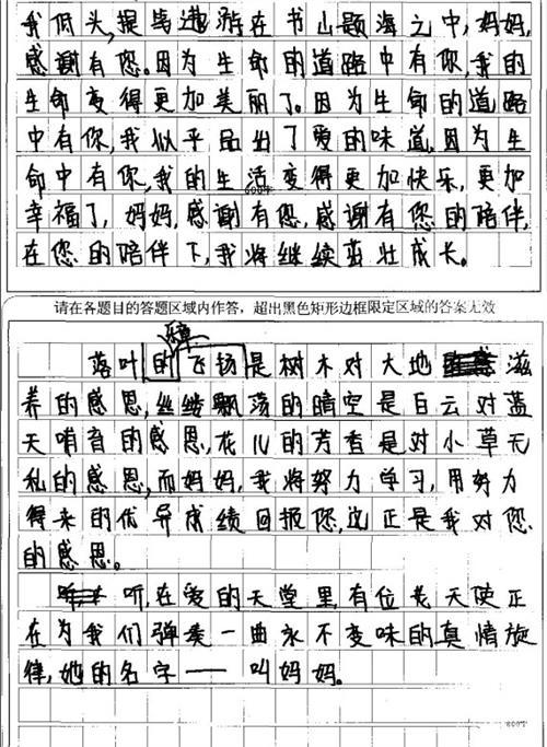 2016年湖北鄂州中考满分作文：那一幕，真让我感动_1000字