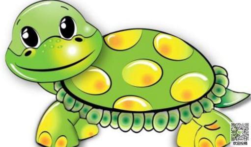 可爱的小乌龟-小动物作文300字