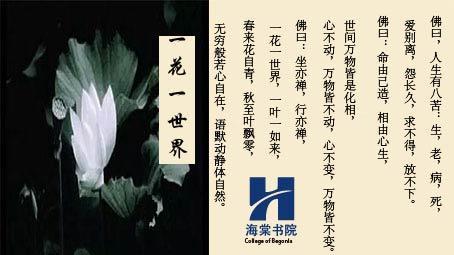 2005年浙江高考优秀作文：一花一世界_900字