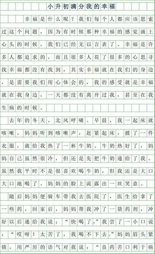 2014内蒙古中考满分作文：我们是初升的太阳_500字