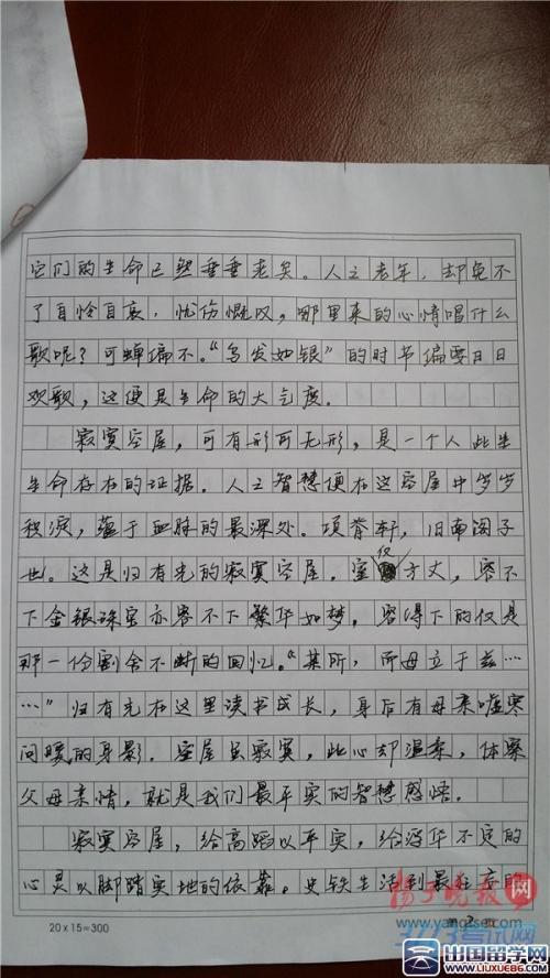 2013上海高考满分作文：什么最重要_1200字