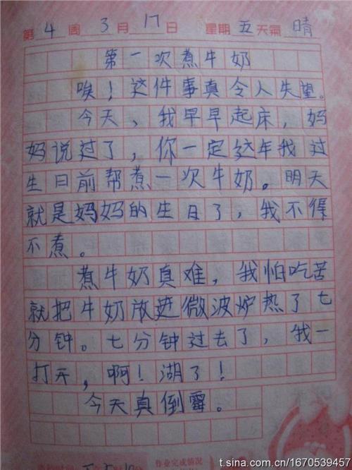 初二日记：罗丽梦_700字