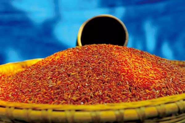 农遗良品 | 新晃侗藏红米: 世界原始稻作文化的活化石 1