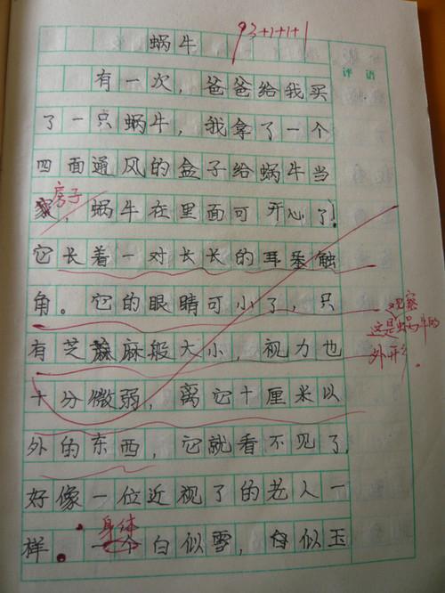 北京新高考适应性训练作文教以成人与海淀期末作文学以成人导写示例