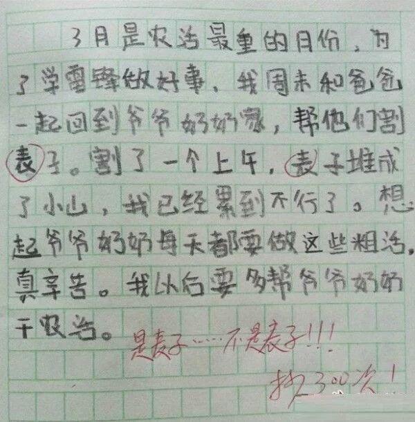 奇葩作文哪家强，老师吐血沙滩上，网友：笑死我对你有什么好处 2