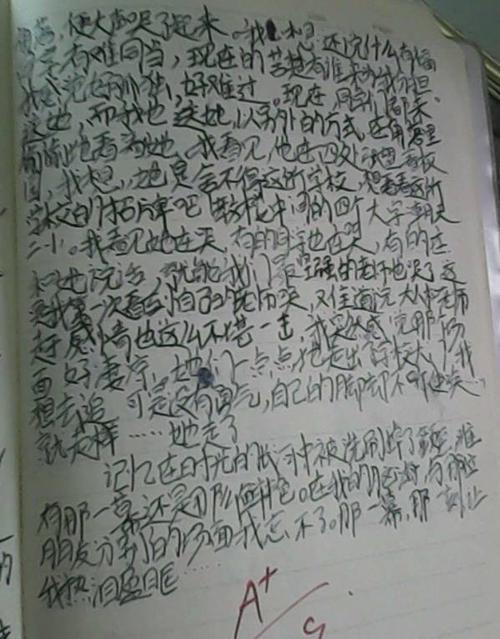 我差点走丢了 难忘的一事300字作文